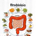 Digestive Health Support